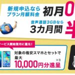 BIGLOBEモバイルのキャンペーンって本当にお得なのか?調べてまとめてみました!