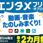BIGLOBEモバイルを選べばスマホを安く+動画もたくさん見れる!メリット・デメリットを解説!